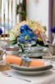 /album/fotogalerie-svatebni-vystava-16-4-2016/img-8645-jpg/