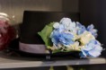 /album/fotogalerie-svatebni-vystava-16-4-2016/img-8686-jpg/