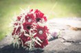 /album/fotogalerie-fotogalerie-svateb/a14607955-1317696411582522-1708408465-n-jpg/